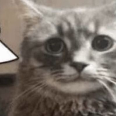 ssolrrxi's profile picture. he/him - any pronouns || Artist & writer || dni proship || barely post anything