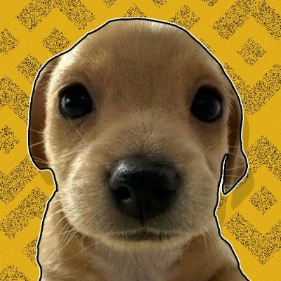 BillyOnBinance's profile picture. Bringing the Bonk Dog to Pump Fun $BALLTZE

COULDN'T EVEN SEND ON BONK, LET'S SEND IT HERE

CA: