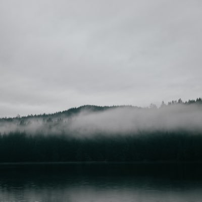 liminalissm's profile picture. 