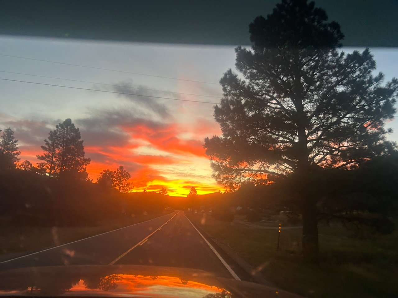 Springbranch198's profile picture. 