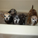 Lynn Wiese - @WieseLynn - Twitter