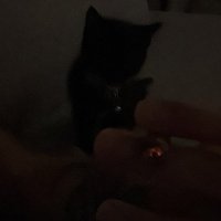 . (@projectosct) 's Twitter Profile Photo