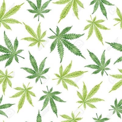 JohnConnec70696's profile picture. 🍁Place your order here : https://t.co/w4bhdf2iHJ,  available on telegram 🗨