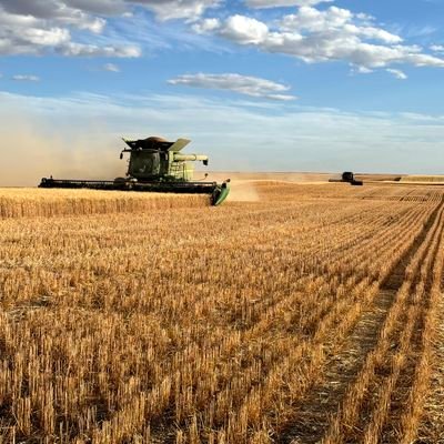 derekmcbain's profile picture. here I am.  living the dream