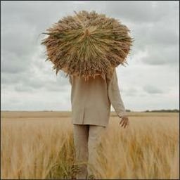 mai6595013988's profile picture. Gods determine what you're going to be。