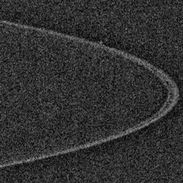 kiwioctober's profile picture. 