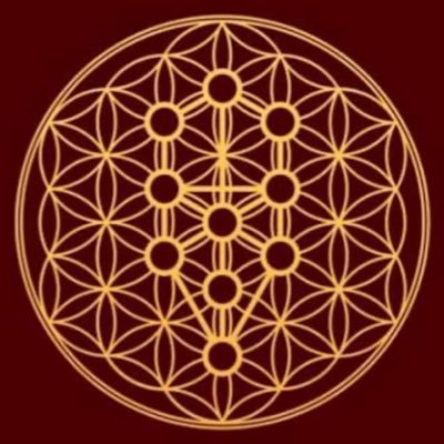 pandagorillacat's profile picture. 