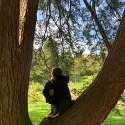 Uijorcos507's profile picture. 