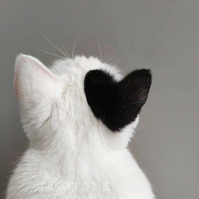 AVERY68958's profile picture. 