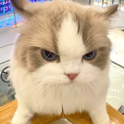 msgg117's profile picture. 