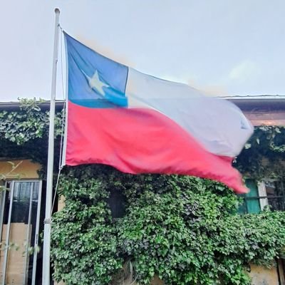 MCdelab's profile picture. 