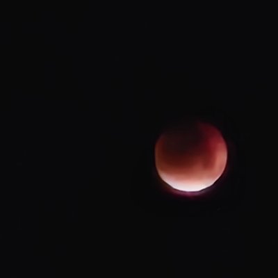 tongue1756485's profile picture. 黑夜之子