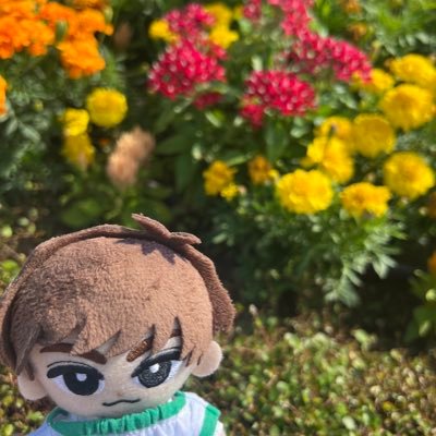 ※重重重加工〈写真の人はおりませぬ〉※新規コスは要相談 💚スノ担 △ブロ解等はご自由に△