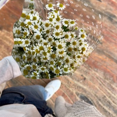 NiveenAyman's profile picture. 