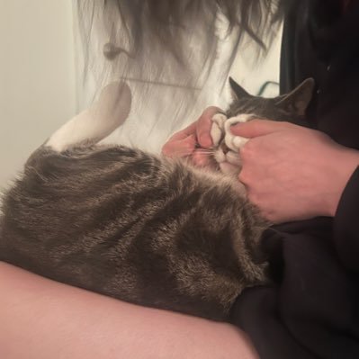 kaleid0scop3s's profile picture. 23 they/them queer thing