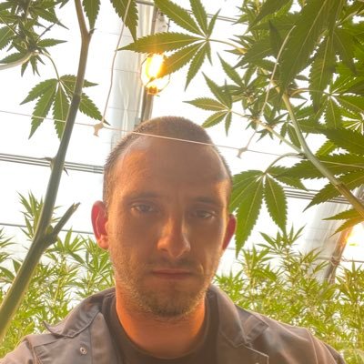UAP_VIBEZ's profile picture. Interested in UFOs and the intersections associated with it.