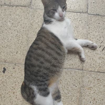 jmvpmc39414's profile picture. I don't know English