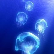 MBTI：INFJ。複雑性PTSD解毒中。回復記録はnoteで公開中。 いいね・引RTは共感・応援・励ましからです。無言フォロー＆リプ失礼します。