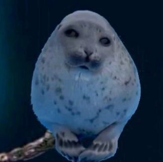 ENRIQQI's profile picture. Me gustan los videojuegos