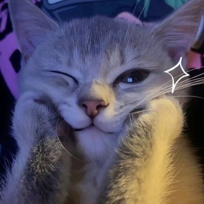 kosianfdrf1's profile picture. 