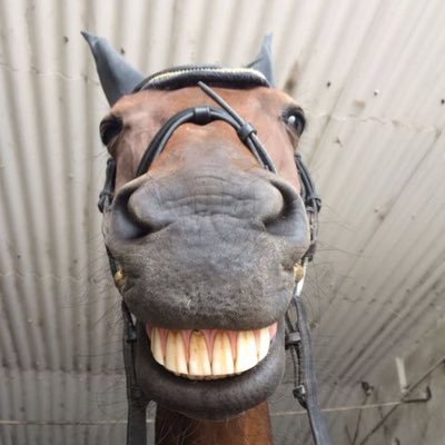 andrews_ka16012's profile picture. Gogoog