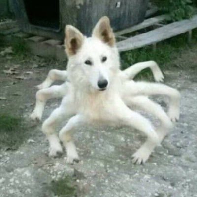 たけさんのプロフィール画像