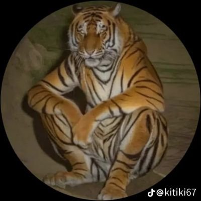 NguynHa871976's profile picture. 
