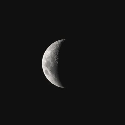 SelestraAngelo's profile picture. IT Professional