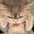 hanihanipamu's profile image