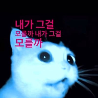 @hahahoho22344