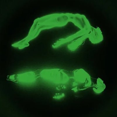 levitatingonsol's profile picture. defying gravity