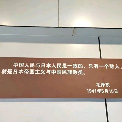 bolnag3's profile picture. only bitcoin