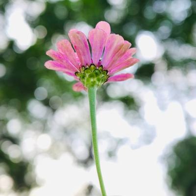 tiaoshu's profile picture. 永远不要失去自嘲的勇气。