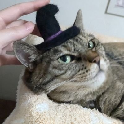わにうまさんのプロフィール画像