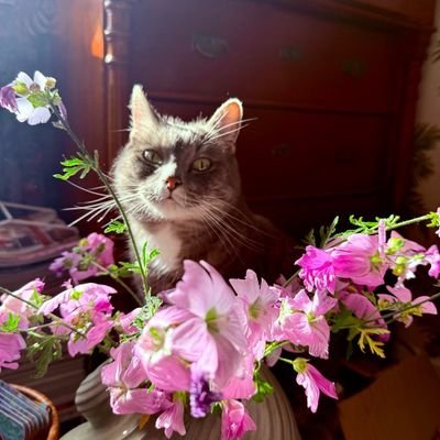 Copern1cum's profile picture. Marxist-Leninist-Maoist / 'To rebel is always justified' 🇨🇳📕☀️ / Total Liberation 🏳️‍🌈🫶 / Fascists be damned