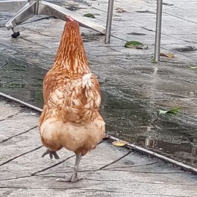 WhereverTamTam's profile picture. MOBYE,00K&ORM,ออมหลิง!!,SNSD & TY!
:ออกไปใช้ชีวิต เท่ว: