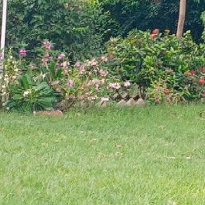 GoluShukla29434's profile picture. 
