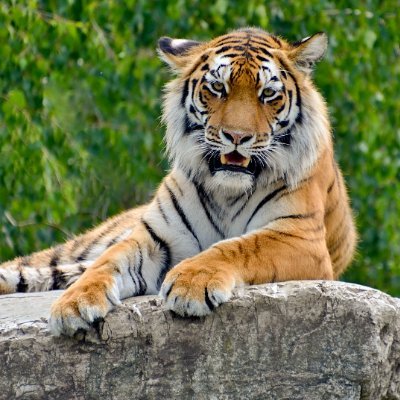 Krish14453's profile picture. 