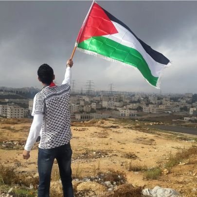 PunishTheSinner's profile picture. Free Palestine 🇵🇸  🐝 🍉