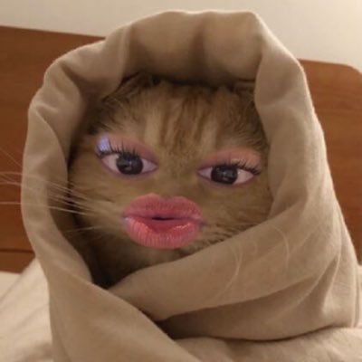 kixxca's profile picture. 