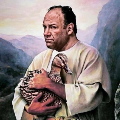 metamorfozI0's profile picture. 