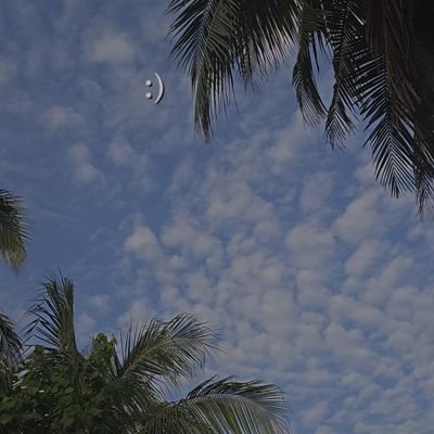 zainy5329411's profile picture. 