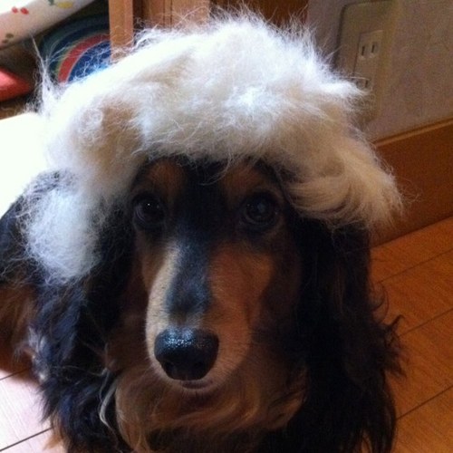 kozkoz123p's profile picture. 愛知県出身です、。今、編み物にハマってます。木工やトールペイントも大好きです。