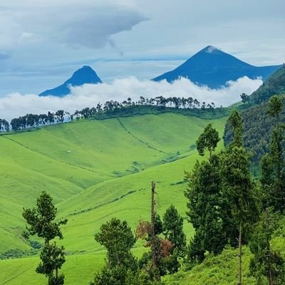 niwagadarius's profile picture. Humanity is my religion. Tourism & Hospitality Investor. My current project is @rwenzoribigstop . WhatsApp me on  0755213143 and be straight to the point.