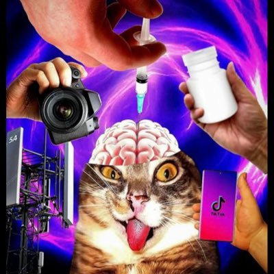 dih_dev's profile picture. 