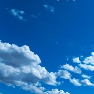 tomokat15's profile picture. 