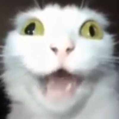 oscarsonskin's profile picture. random acc to retweet whatever.