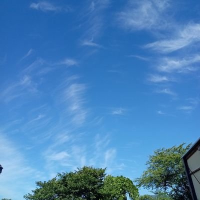 HHZyXWH5PJH3yJv's profile picture. 