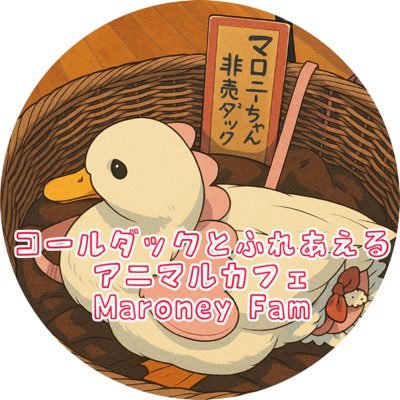 MaroneyFam's profile picture. 福岡県北九州でコールダックとふれあえるアニマルカフェ🪿営業中✨じゃらん予約可 平日土13時～日祝11時～20時(最終受付18時30分)店休日火曜日不定休有りInstagram https://t.co/ky1k0UJmJL 販売 第24040号 保管 第24041号 展示 第24042号