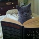 Janel Cunningham - @broadwaybuzzed - Twitter